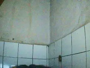 Cam4 Free Live Porn of Nataach29