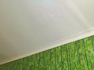 Cam4 Best live sex cam show of mshairys