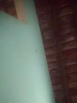 Cam4 Live Sex of Lyya