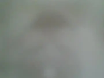 Chaturbate Sex Cam of chubbycutie420