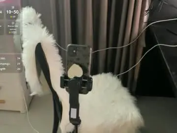 Chaturbate Adult Webcam of padpadthai