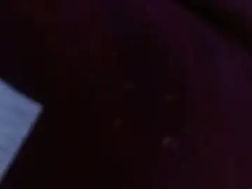 Stripchat Free Porn Cam of ArielleWilde